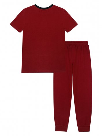 Вишневый комплект: футболка, брюки для мальчика PlayToday Tween 12411180, вид 5