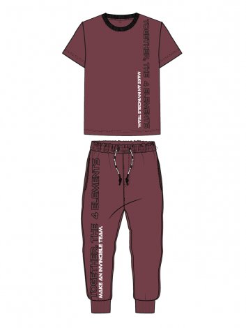 Вишневый комплект: футболка, брюки для мальчика PlayToday Tween 12411180, вид 6