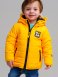 Желтая куртка с полиуретановым покрытием для мальчика PlayToday Baby 12419119, вид 2 превью
