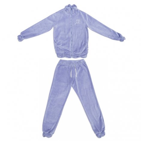 Фиолетовый комплект: толстовка, брюки для девочки S'COOL 144088, вид 1