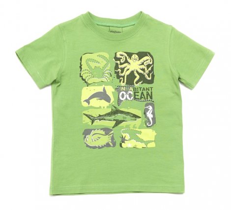 Зеленая футболка для мальчика PlayToday 241007, вид 1