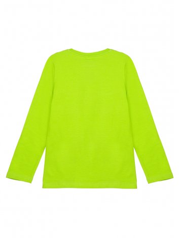 Светло-зеленая футболка с длинными рукавами для мальчика PlayToday 32312105, вид 5