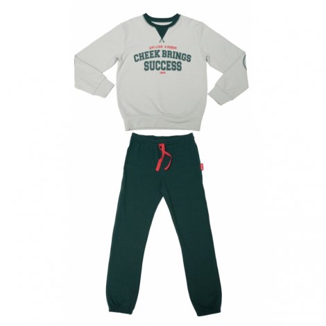 Зеленый комплект : толстовка, брюки для мальчика S'COOL 343033, вид 1