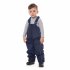 Темно-синий полукомбинезон для мальчика PlayToday Baby 387059, вид 6 превью
