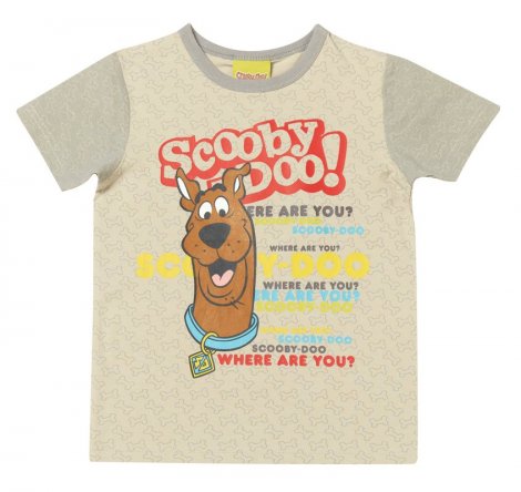 Серая футболка для мальчика PlayToday 621004, вид 1